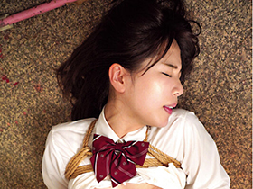 性支配を受け入れる無抵抗な美少女たち～快楽×従順～　サンプル画像08